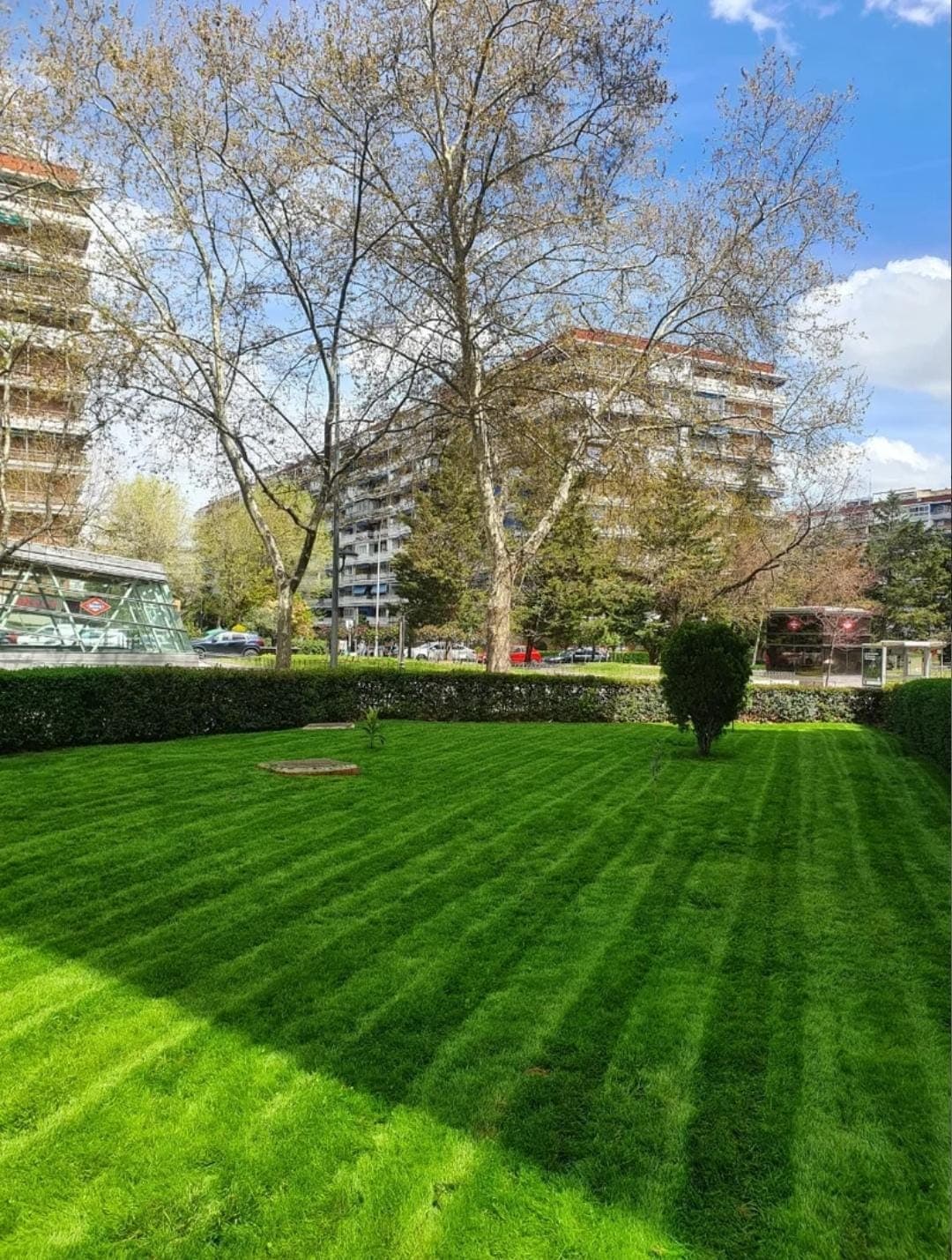 Césped verde con rayas de corte frente a edificios residenciales bajo un cielo azul.